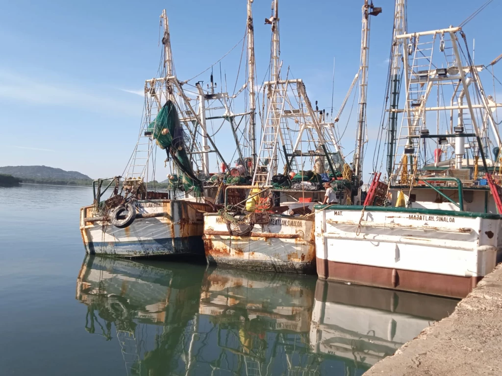 2022 ha sido el peor año para pescadores de Mazatlán