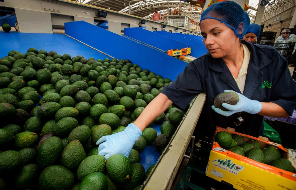 México rebasa las exportaciones agroalimentarias de todo 2021