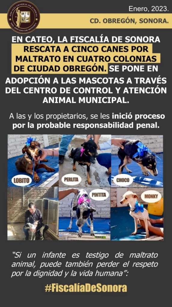 Rescata la FGJE a canes de maltrato y abandono en colonias de Ciudad Obregón