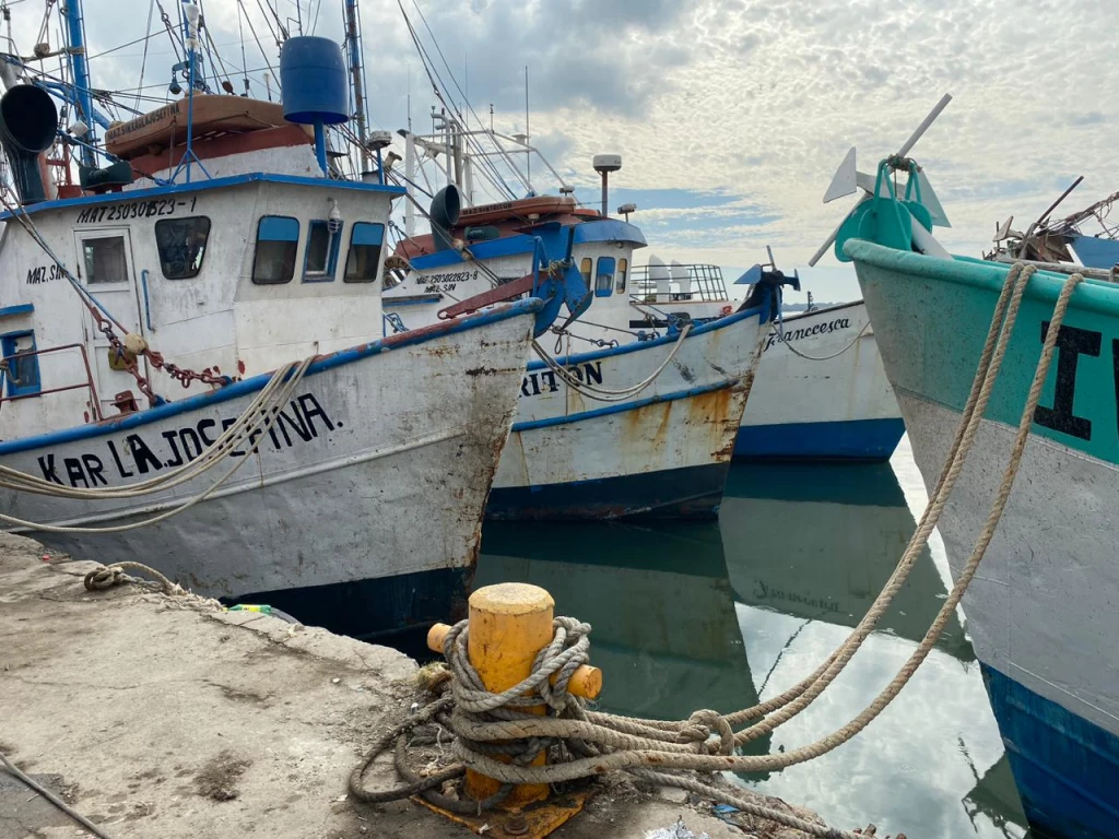 90 por ciento de la flota pesquera de Mazatlán paralizada por falta de trabajo