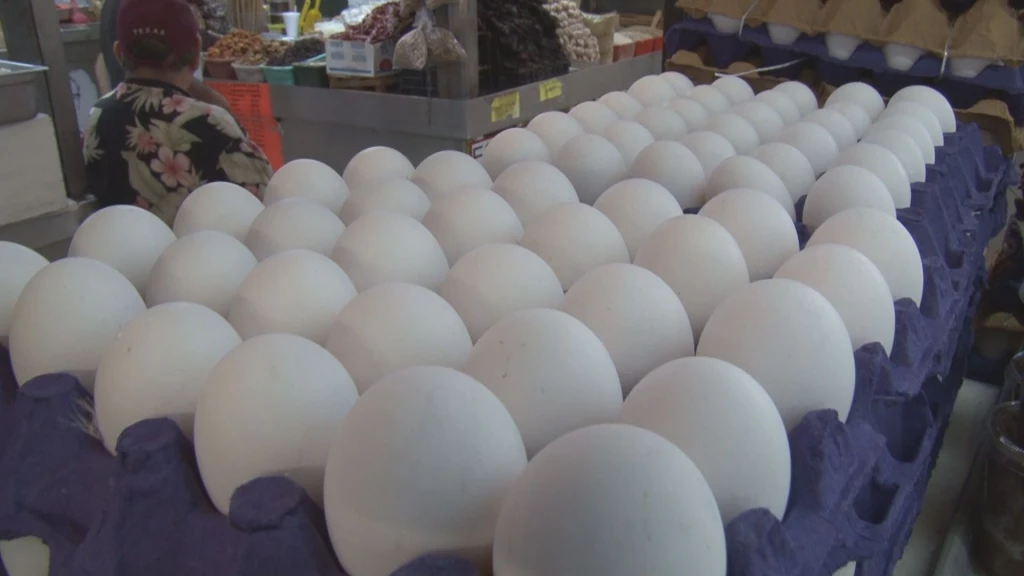 Alto costo del huevo afecta al sector restaurantero: CANIRAC
