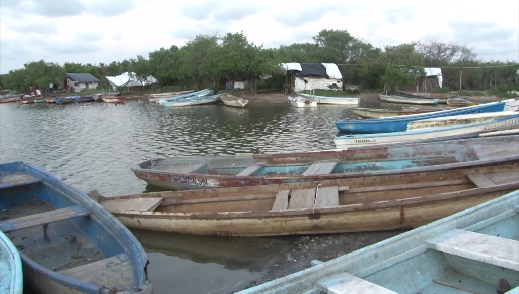 Pescadores de Agua Verde tienen que migrar a otros oficios