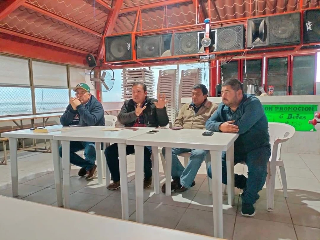 Busca alcalde de Benito Juárez pulseras para repeler presencia de tiburones en campos pesqueros