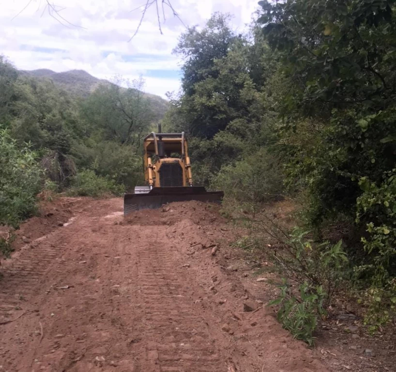 Trabaja Secretaría de Agricultura en programa “Rehabilitación de Caminos”