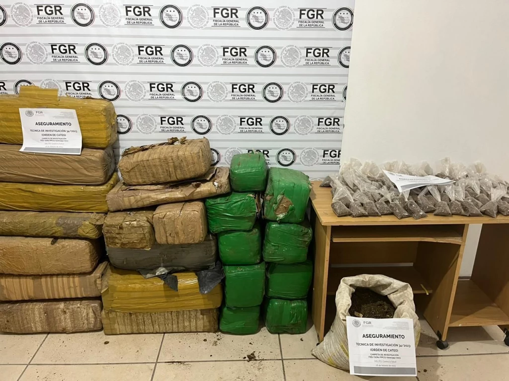Asegura Mesa Estatal de Seguridad 137 kilos de marihuana en Puerto Peñasco