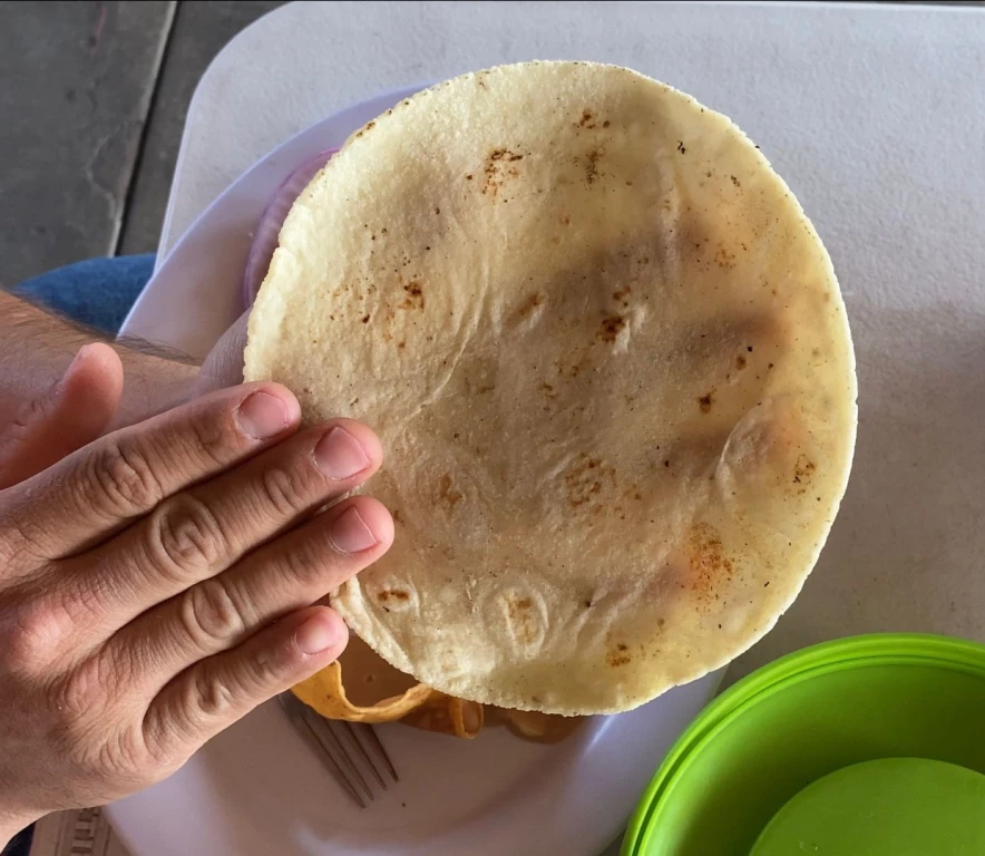 En 25 pesos máximo el kilo de tortilla