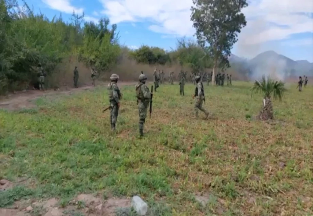 Ejército Mexicano localiza 3 plantíos de amapola en Sinaloa