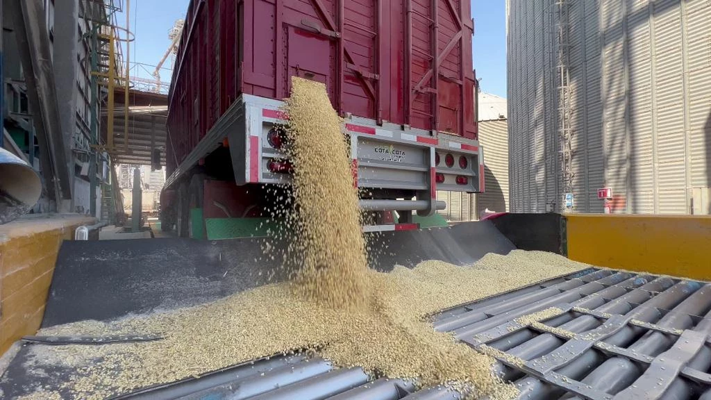 Aumento en las importaciones de granos y oleaginosas en México preocupa a productores nacionales: AARFS