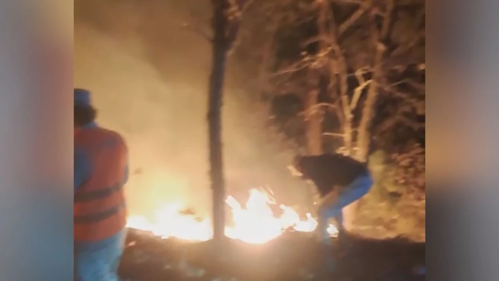 Más 80 hectáreas consumidas por el incendio forestal en Concordia
