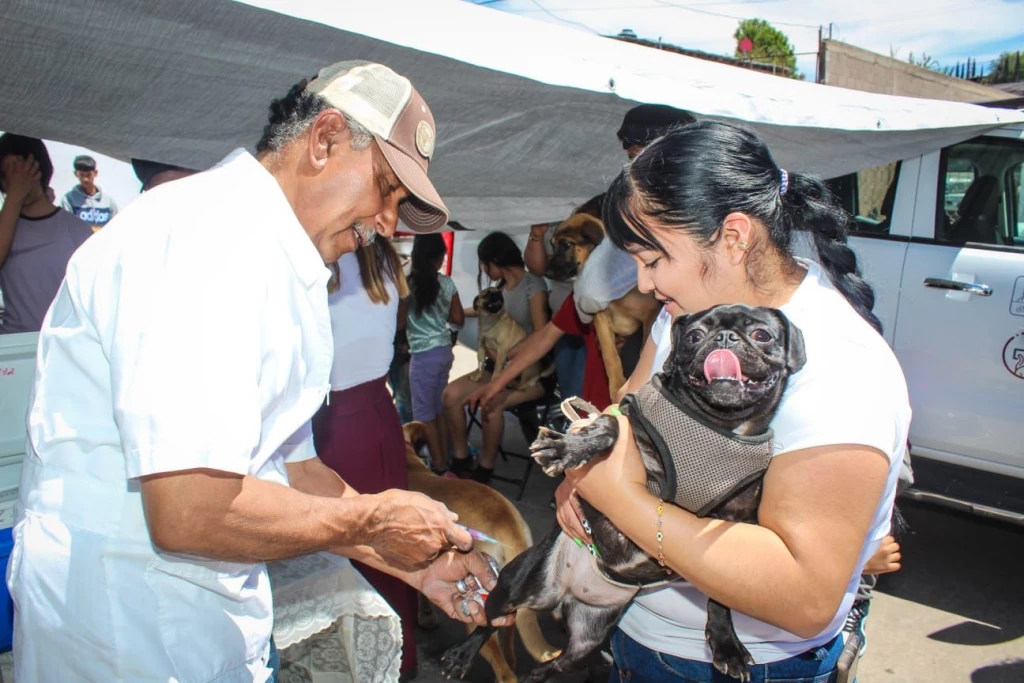 Concientizan a nogalenses por enfermedades zoonóticas