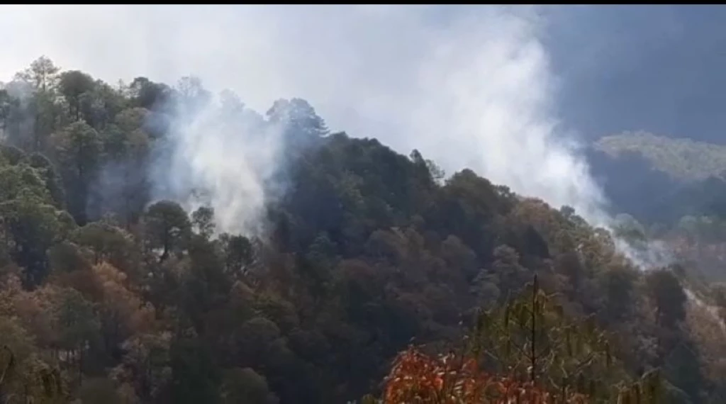 Se reaviva fuego en Las Loberas, Concordia