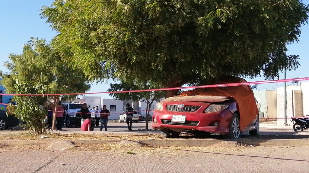 Muere mujer en Culiacán tras chocar contra árbol