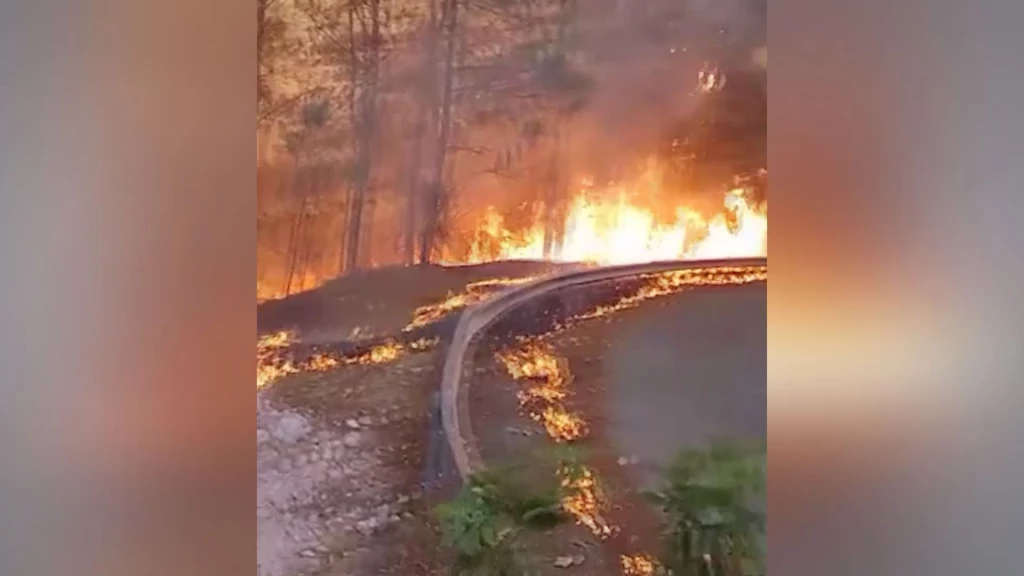 Registran 5 municipios mil 735 hectáreas dañadas por el fuego