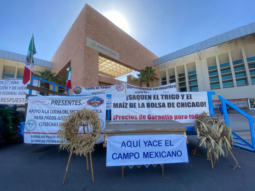 Publican apoyo para productores de trigo en Sonora