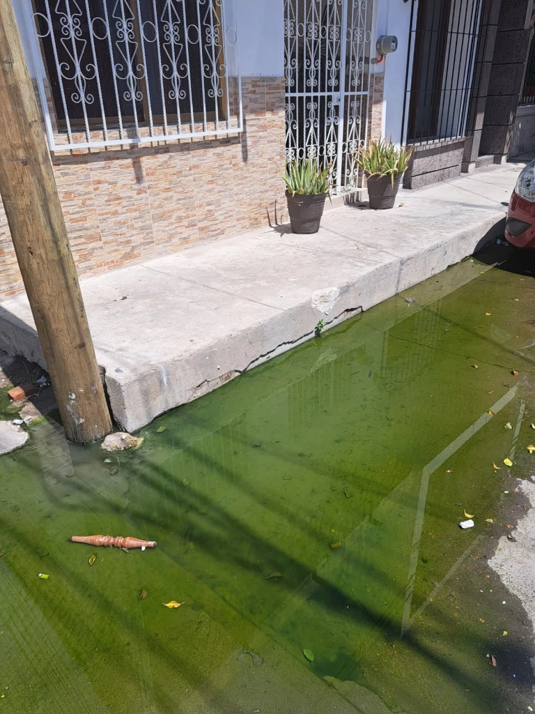 Vecinos de la calle Dr. Carvajal, en el Centro de Mazatlán, urgen a JUMAPAM, atención a fuga de drenaje