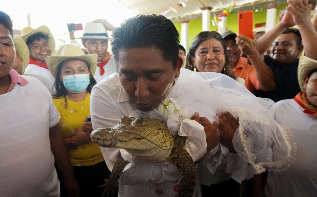 Alcalde de Oaxaca se casa con Caimán llamada "Alicia Adriana"