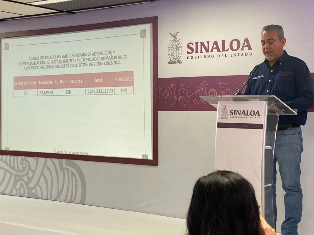 Avanza comercialización de maíz en Sinaloa un 66.39%