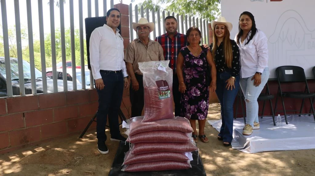Alcalde de Badiraguato entrega costales de sorgo gavetero a ganaderos locales 