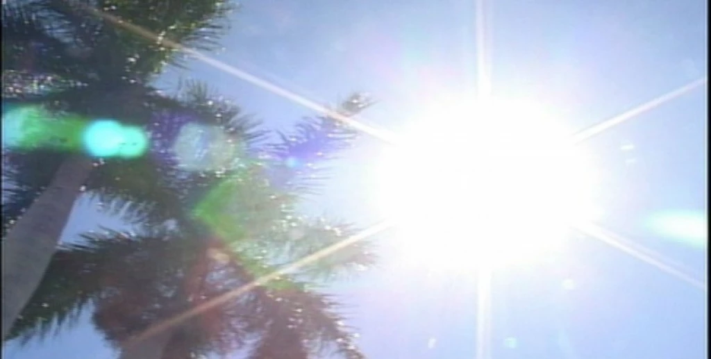 Con el intenso calor, los automóviles pueden ser un factor de riesgo