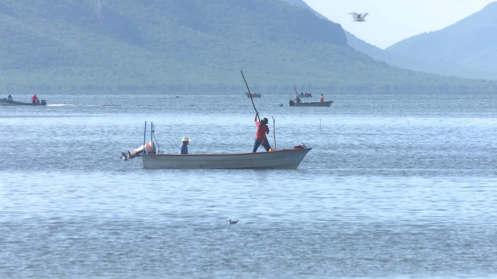 Pescadores piden se adelante el levantamiento de la veda del camarón