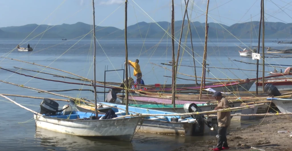 Los pescadores de paredones en Ahome ya están listos para que se levante la veda del camarón