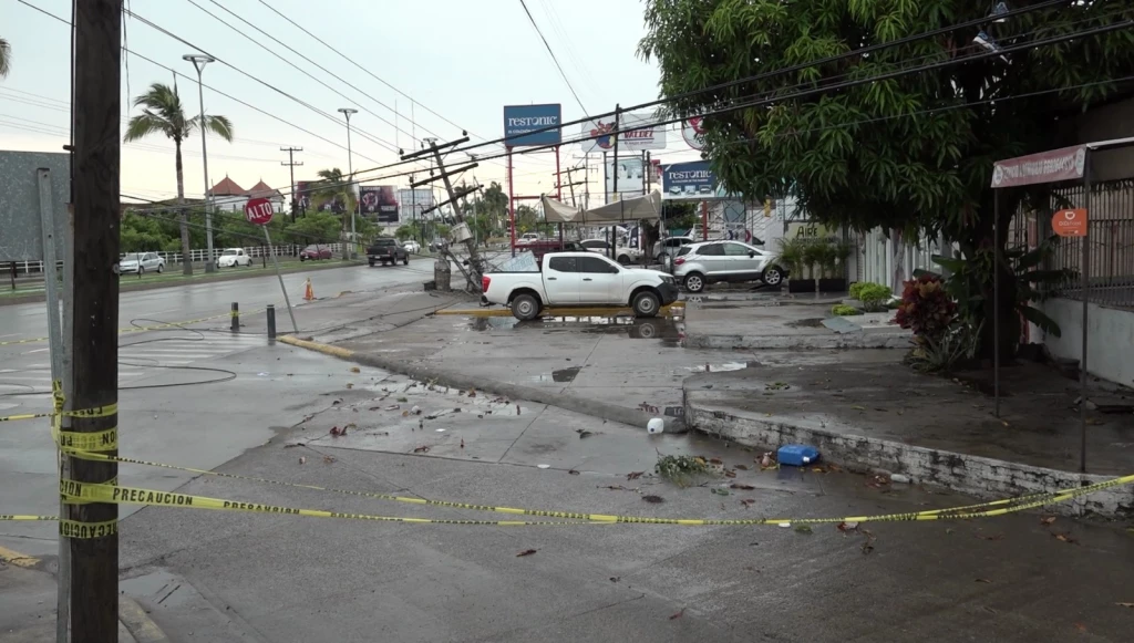 Lluvias en Mazatlán dejan desplome de postes, cables y árboles