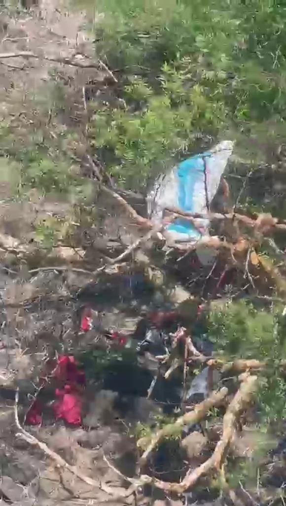 Tras más de 30 horas de labores, logran ubicar a yaqui en cerro de Estación Oroz