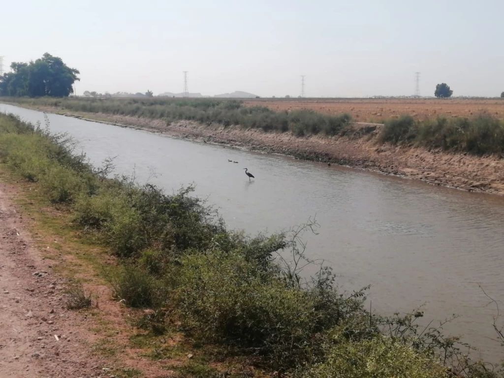 Lo ideal sería que los canales de conducción de agua estén entubados, pero es muy caro: GVL