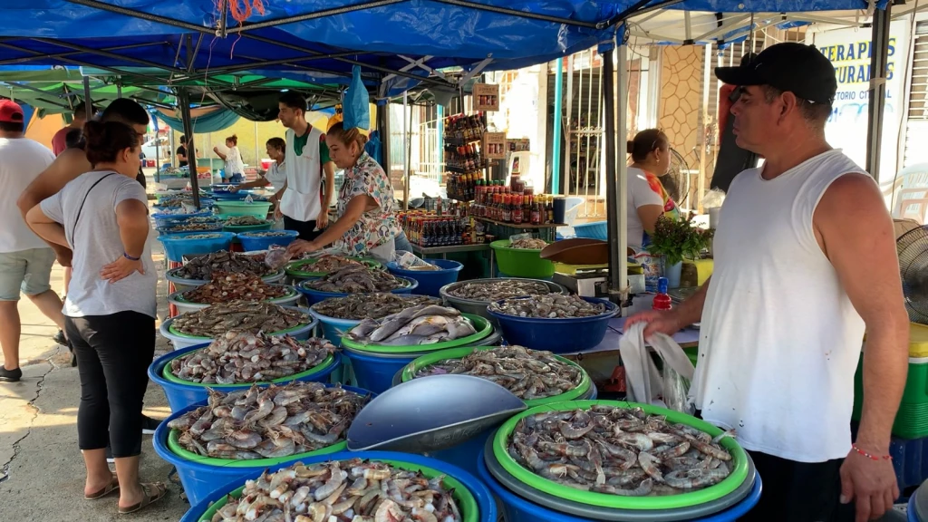 Precio de camarón en Mazatlán disminuye debido a abundancia de producto