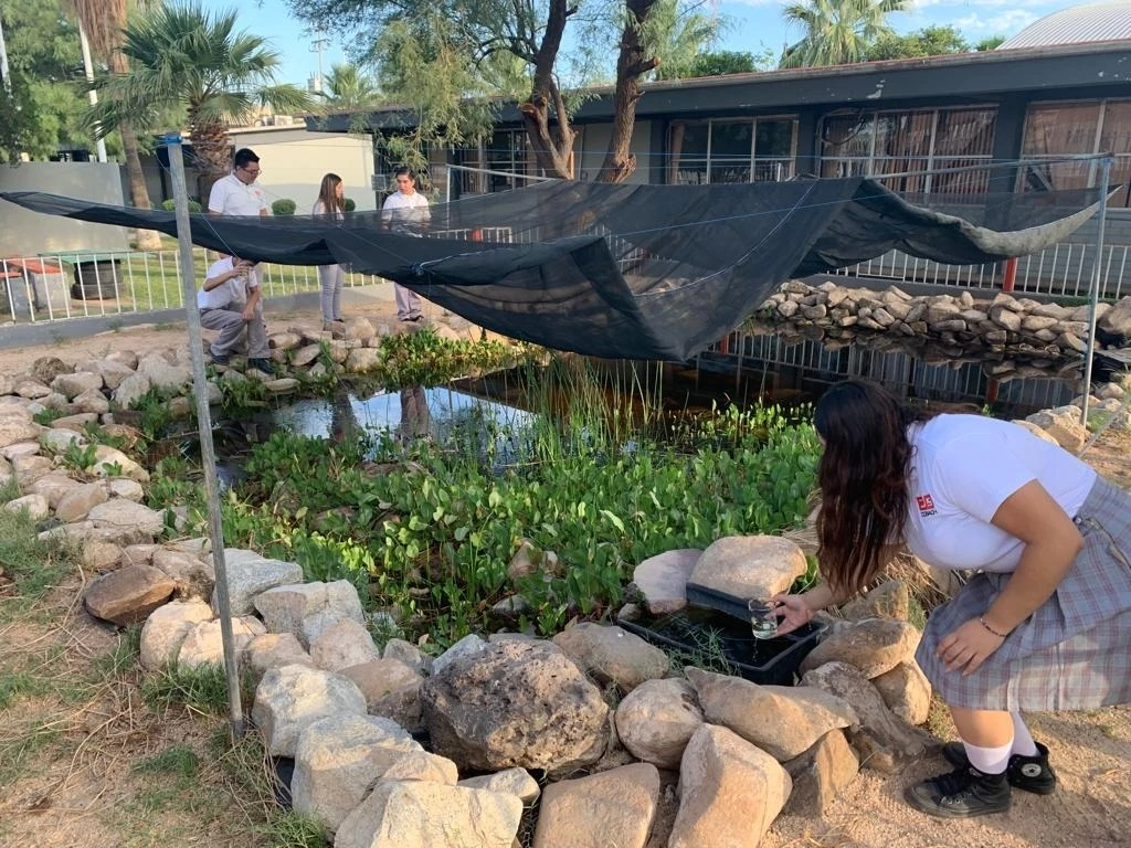 Refuerza Cobach Sonora participación de estudiantes en la conservación del pez pupo