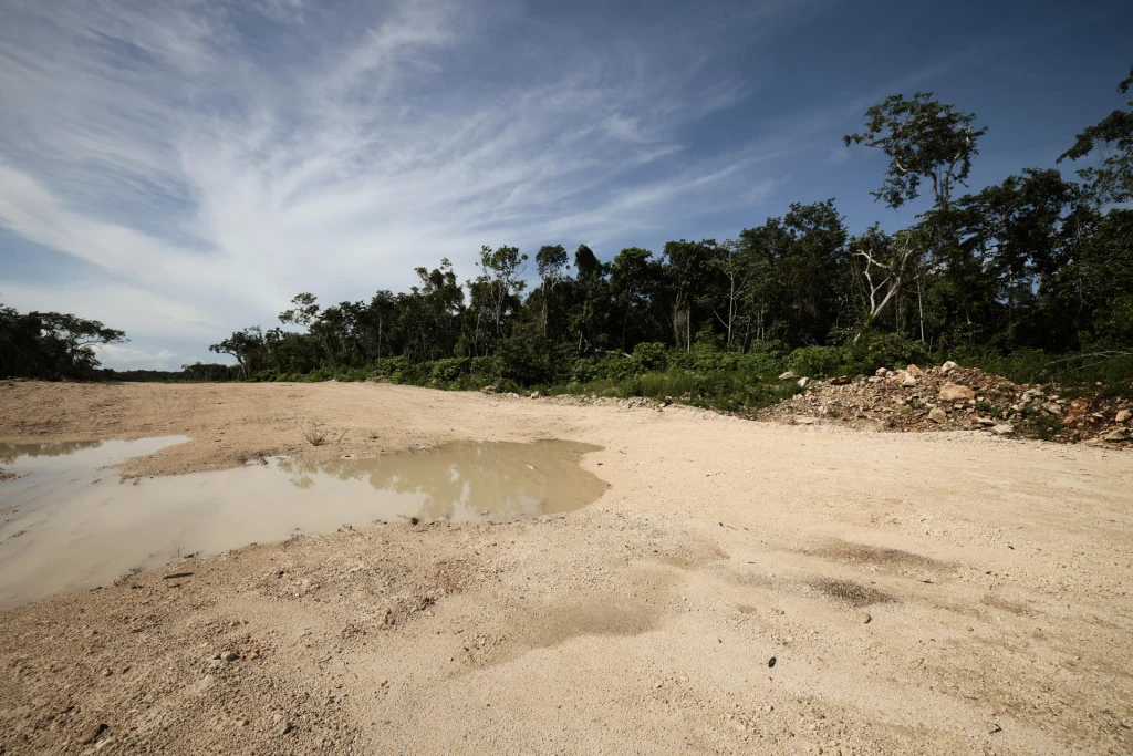 El Tren Maya ha derribado más de 10 millones de árboles señalan activistas