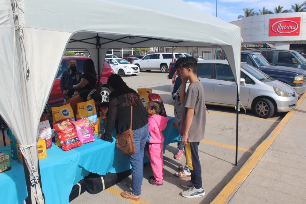 Gente de corazón invita a donar croquetas a través del Croquetón navideño