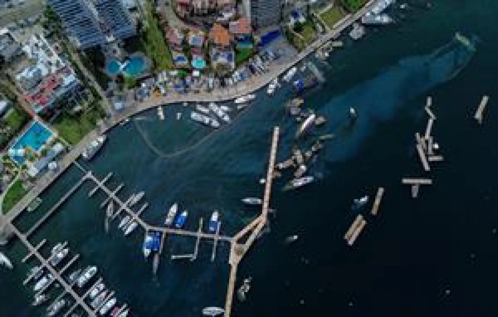 La contaminación marina aún azota al puerto de Acapulco a 80 días del golpe de Otis