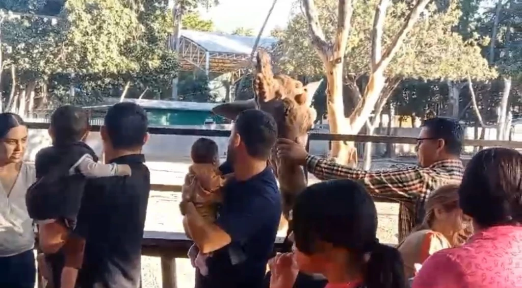 ¡Vuelven las familias al Zoo Culiacán!