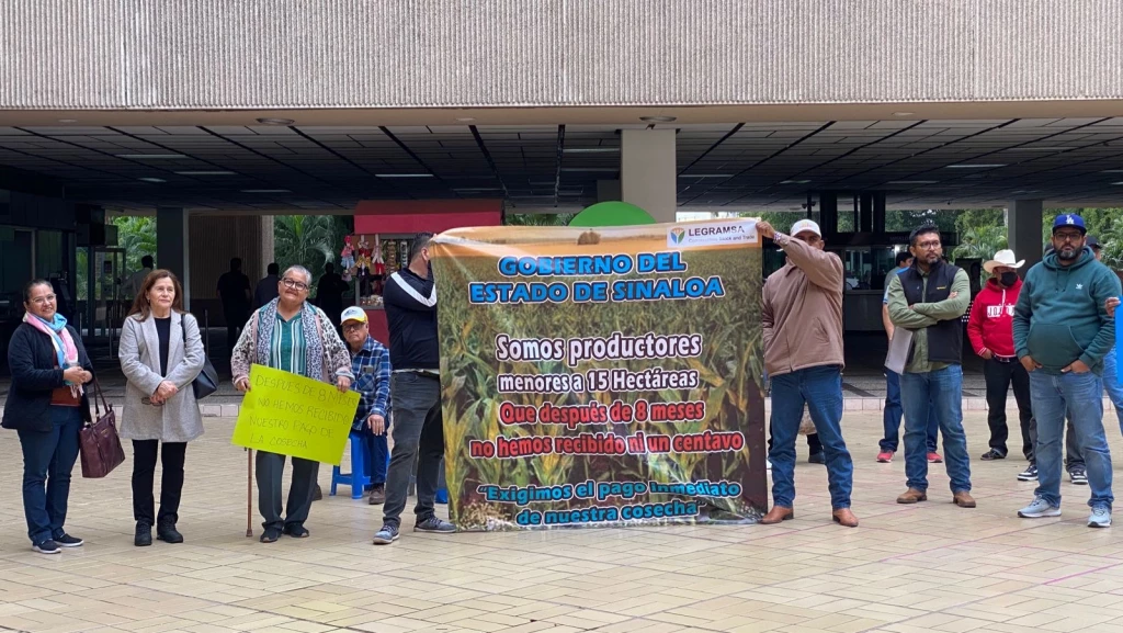 Falta pago a algunos productores de Sinaloa
