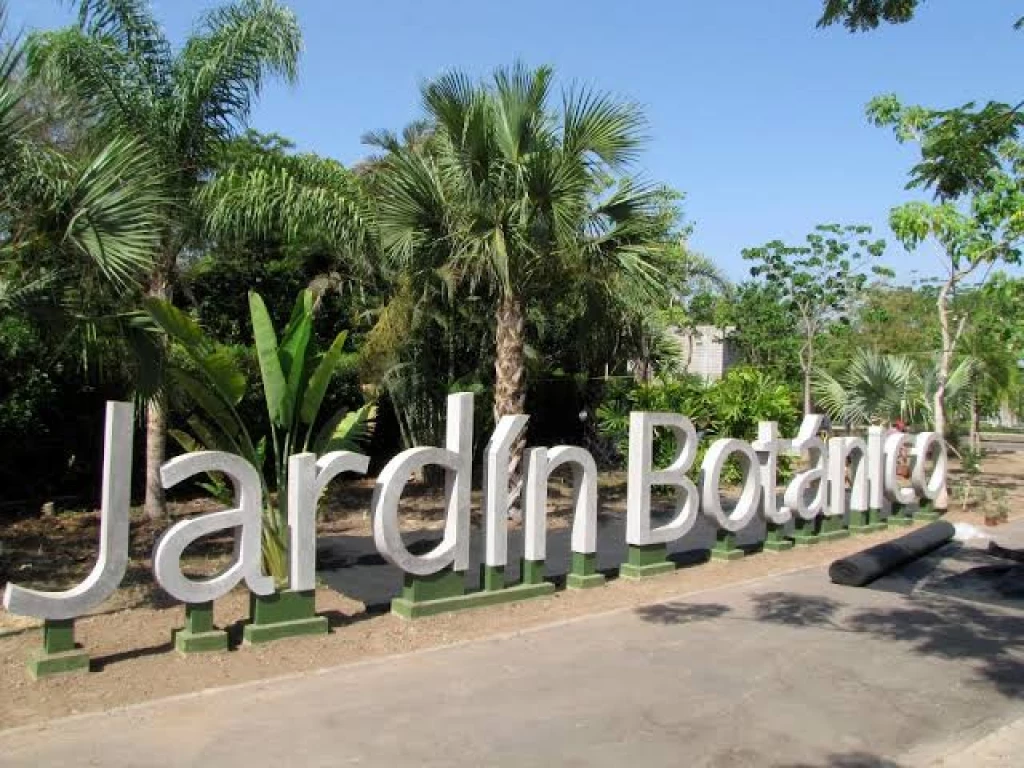 Violador del “Jardín Botánico” pasará 10  años en la cárcel