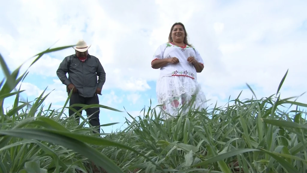 Julisa una mujer de la tribu Yaqui sobresale en la agricultura