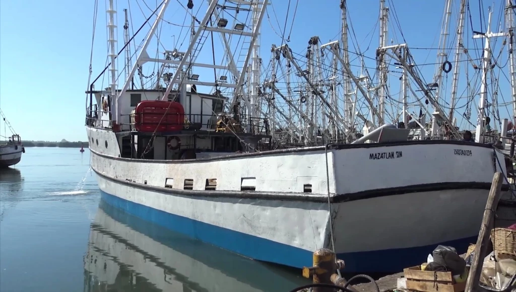 Flota camaronera de Mazatlán inicia veda pesquera con deudas: Rousse