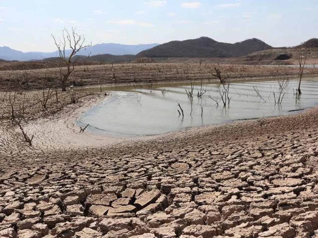 Municipios de Sinaloa con problemas de sequía graves