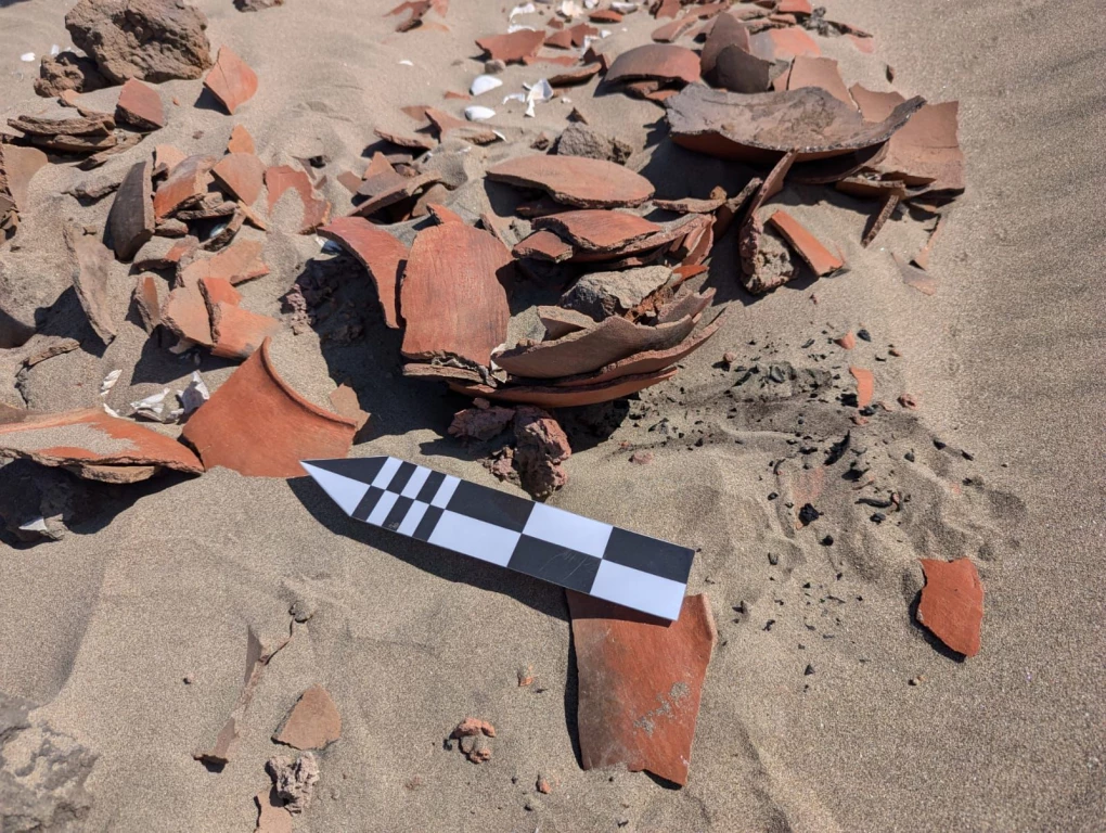 Encuentran piezas prehispánicas en isla de Guasave