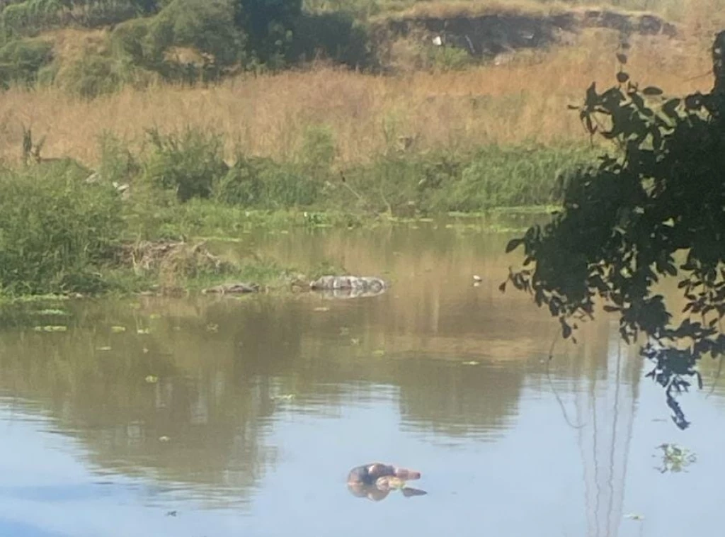 Localizan cadáver de hombre flotando en el Río Humaya
