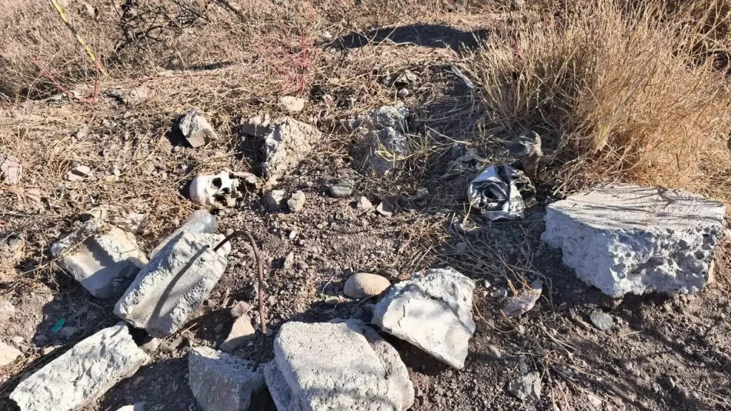 Colectivo de búsqueda encuentra restos humanos de dos en Culiacancito