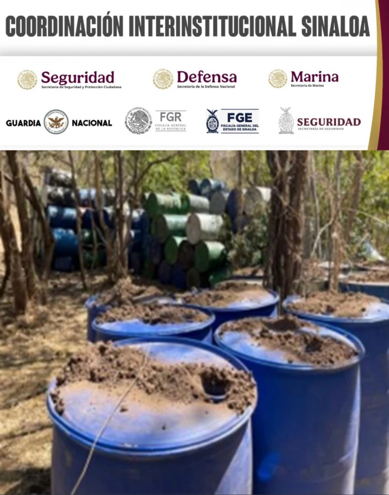 Grupo Interinstitucional asegura 11 laboratorios más en Culiacán y Cosalá