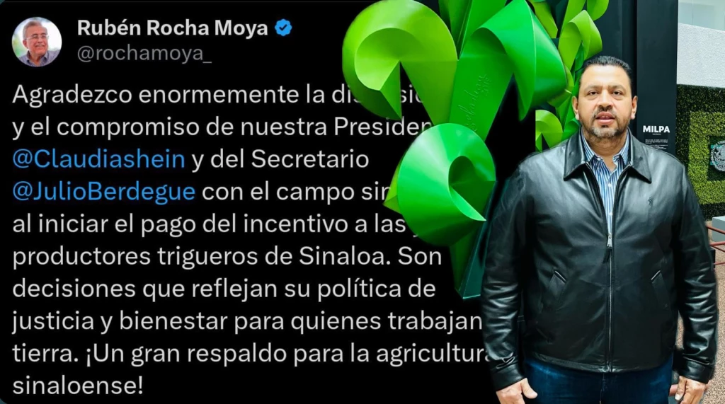 Inicia pago a productores trigueros de Sinaloa por parte de SADER, anuncia Ismael Bello Esquivel