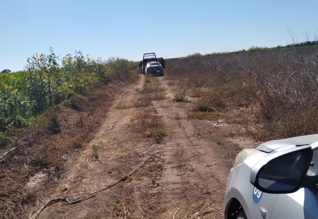 Encuentran restos óseos en Navolato 