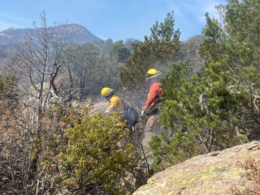 Refuerzan combate a incendios forestales en Nácori Chico y Bavispe