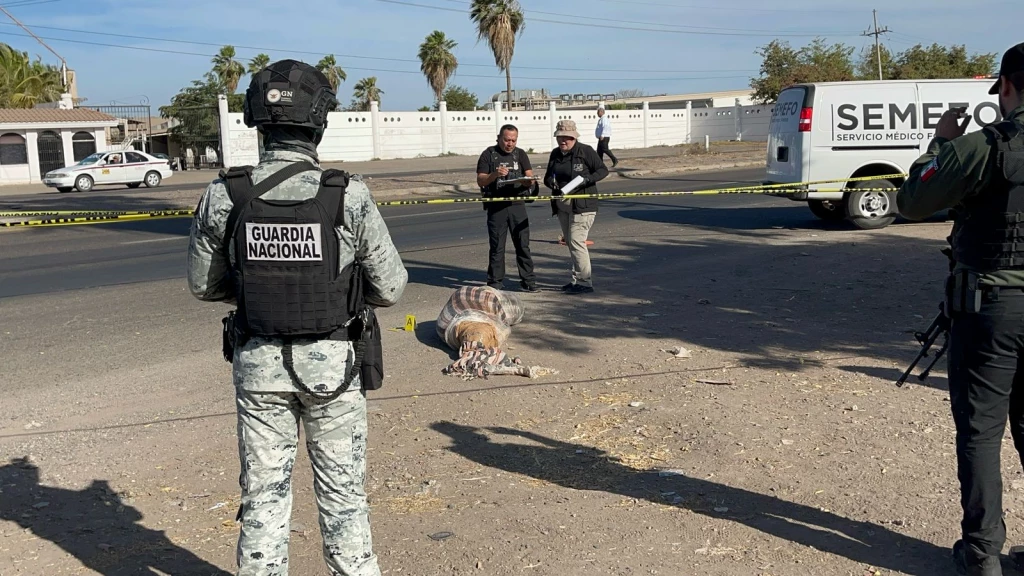 Localizan a persona encobijada sin vida sobre la carretera Culiacán–Eldorado