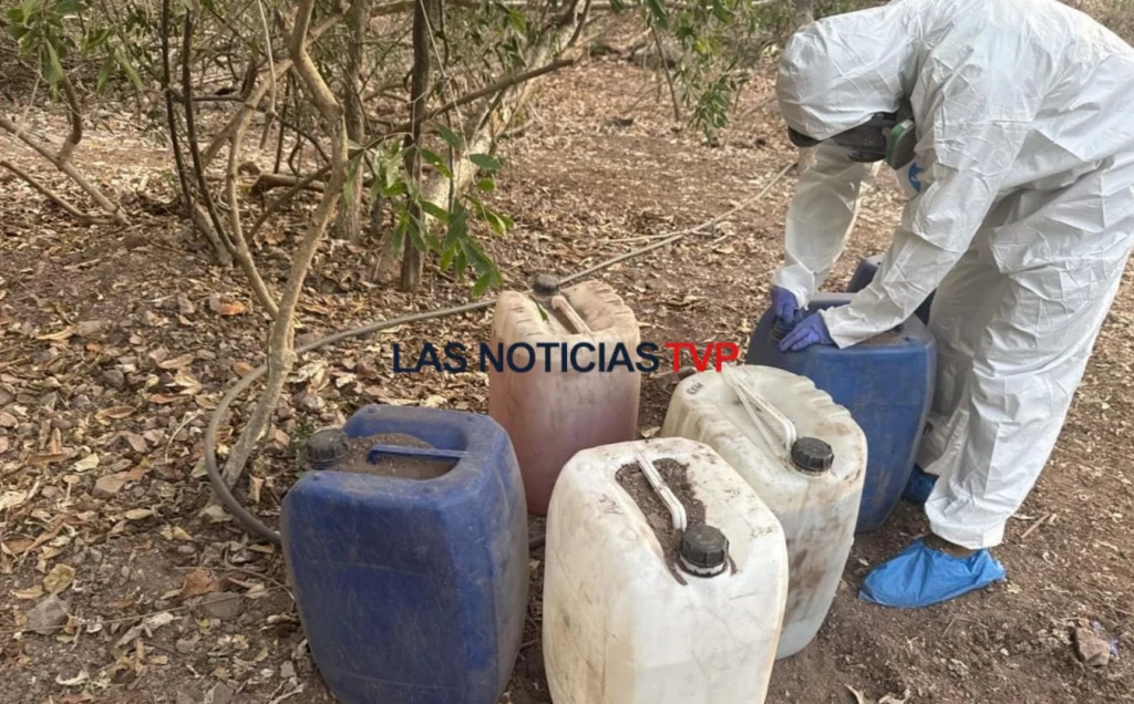 Destruyen mega laboratorio clandestino en Cosalá