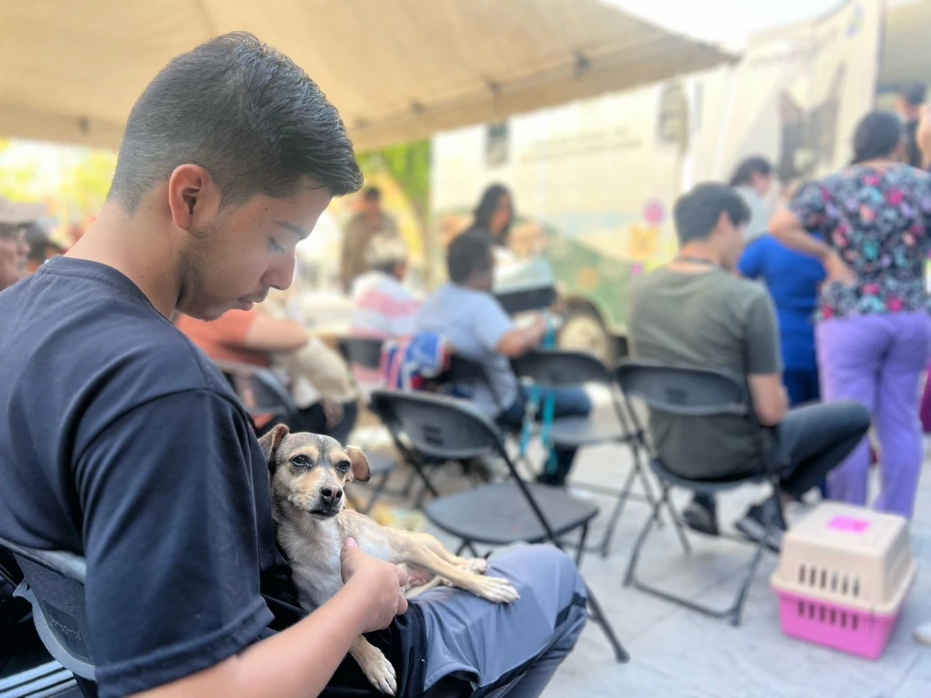 Arranca en Culiacán jornada masiva de esterilización