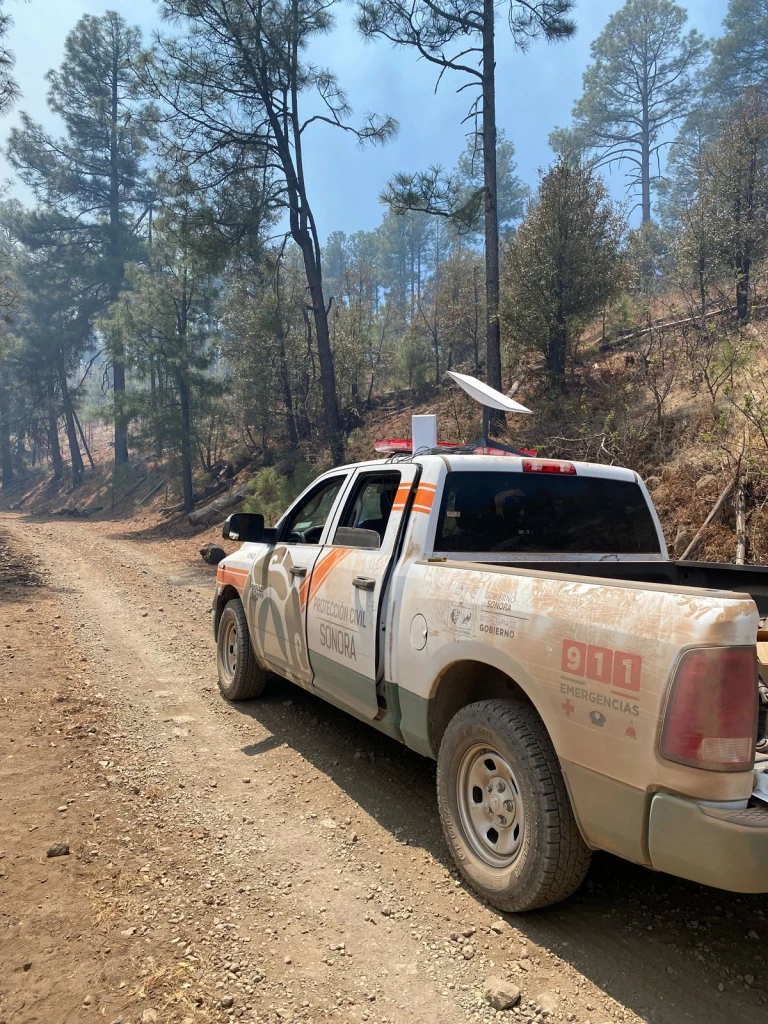 Gobierno de Sonora atiende incendio forestal en Nácori Chico; no hay daños a población ni a ranchos